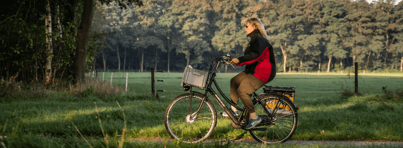 Businesspost bezorger op de fiets door het Drentse landschap